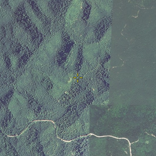 Aerial/Satellite Image of Cross Over Trail, KY