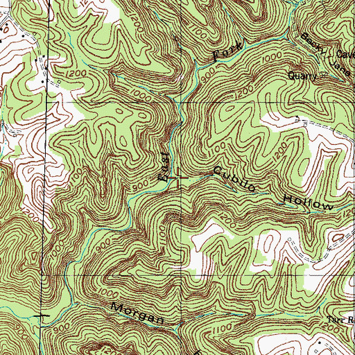 Topographic Map of Cubilo Hollow, KY