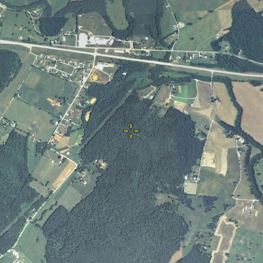Aerial/Satellite Image of Custer Bluff, KY