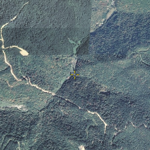 Aerial/Satellite Image of Deadening Branch, KY