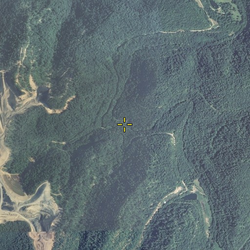 Aerial/Satellite Image of Deep Ford Branch, KY
