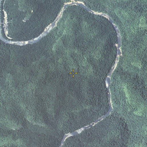 Aerial/Satellite Image of Dick Gap, KY