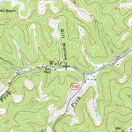 Topographic Map of Dill Hollow, KY