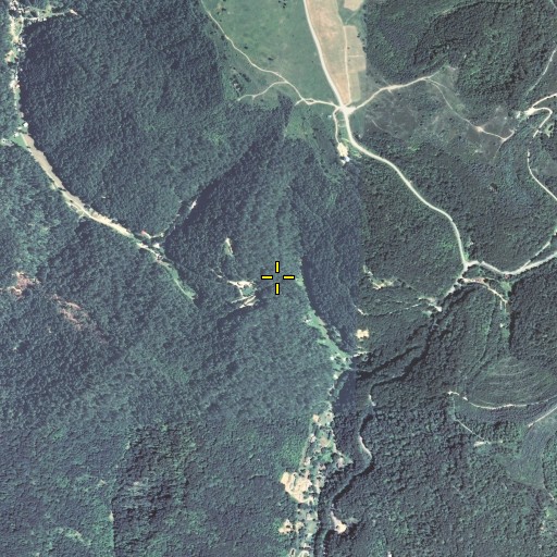 Aerial/Satellite Image of Dog Gap, KY