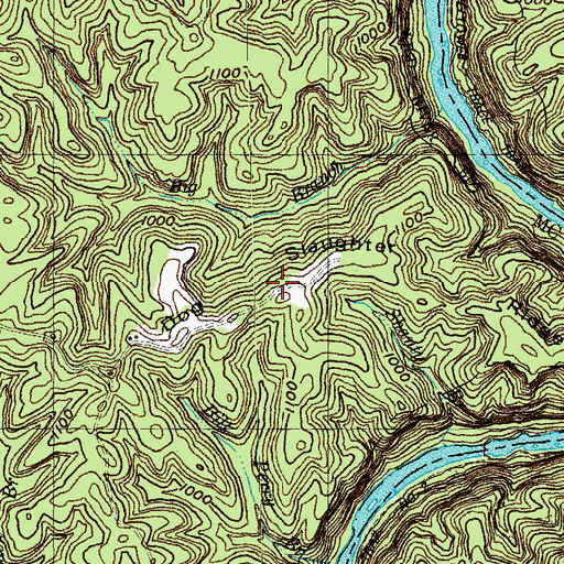 Topographic Map of Dog Slaughter Ridge, KY