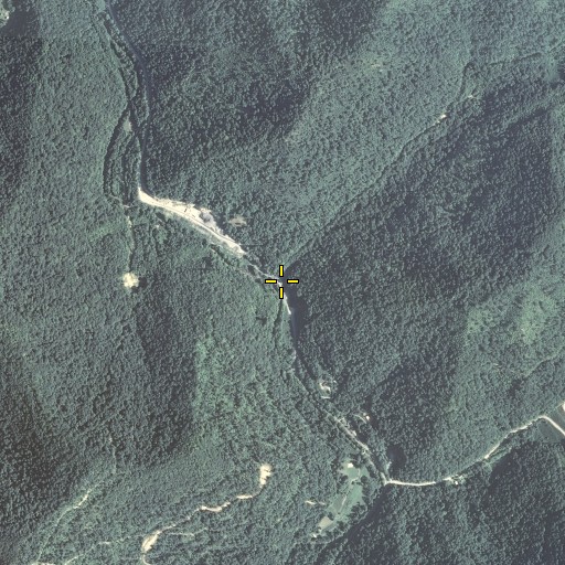Aerial/Satellite Image of Dollar Branch, KY