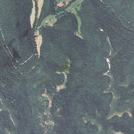 Aerial/Satellite Image of Double Arch, KY