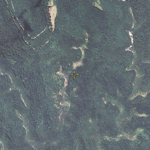 Aerial/Satellite Image of Double Arch Trail, KY