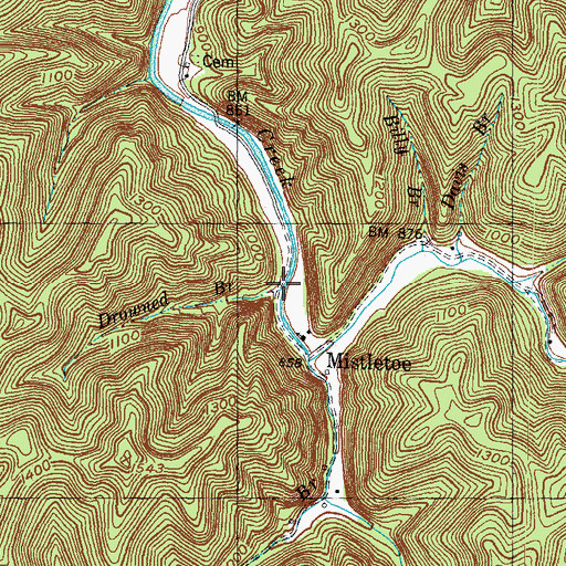 Topographic Map of Drowned Branch, KY