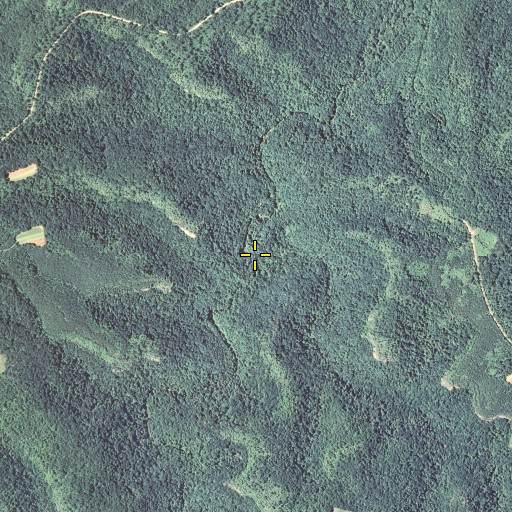 Aerial/Satellite Image of Drury Branch, KY