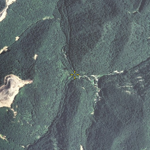 Aerial/Satellite Image of Dry Fork, KY