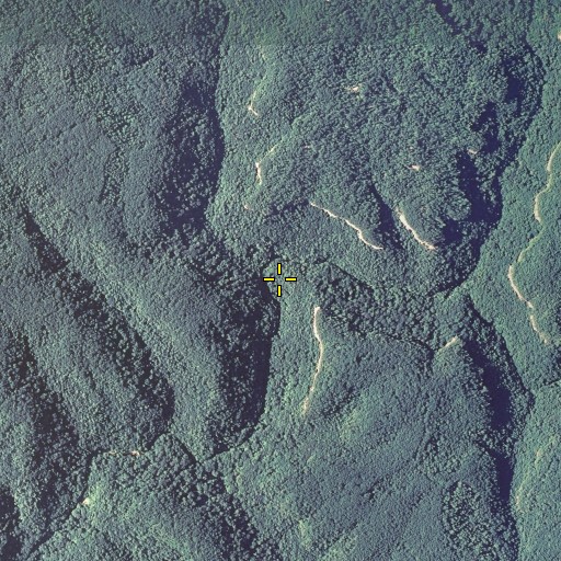 Aerial/Satellite Image of Dry Fork, KY