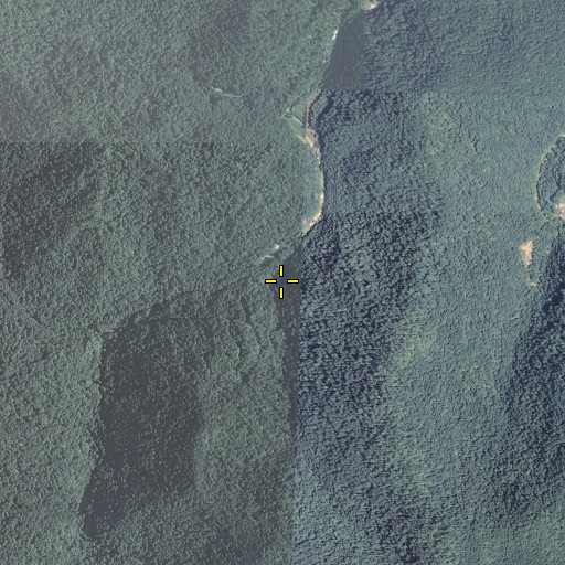 Aerial/Satellite Image of Dug Fork, KY