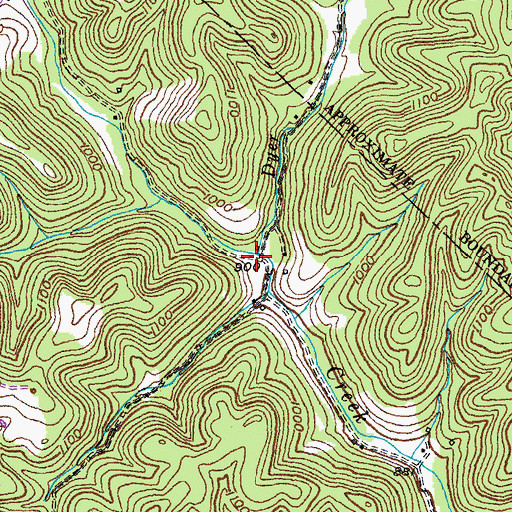 Topographic Map of Dyer Branch, KY