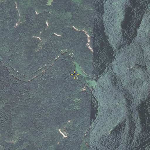 Aerial/Satellite Image of Edward Branch, KY