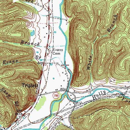 Topographic Map of Evans Branch, KY