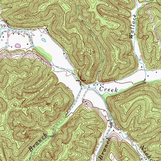 Topographic Map of Fallen Timber Branch, KY