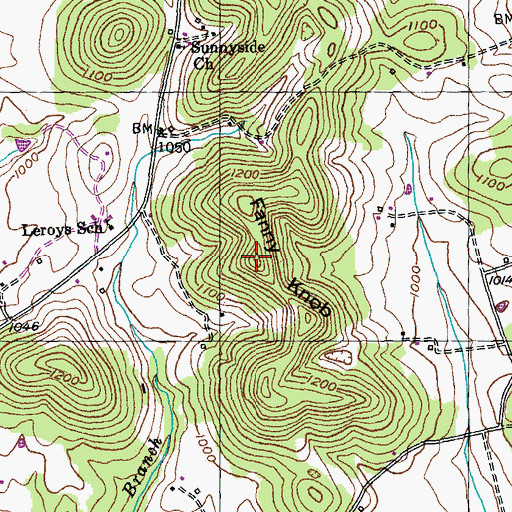 Topographic Map of Fanny Knob, KY
