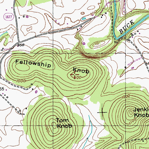 Topographic Map of Fellowship Knob, KY