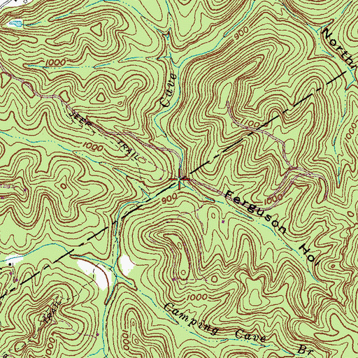 Topographic Map of Ferguson Hollow, KY