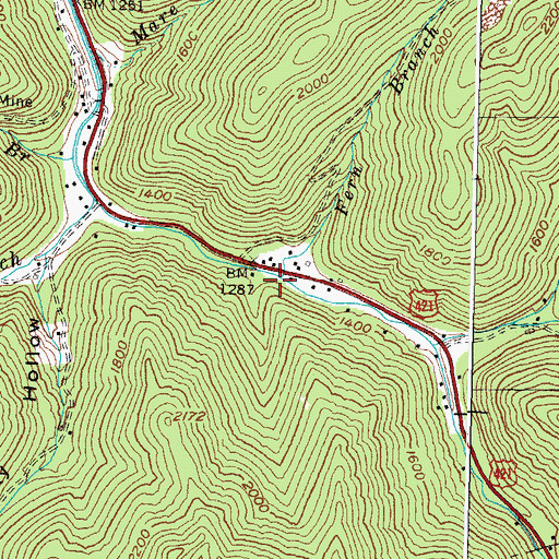 Topographic Map of Fern Branch, KY