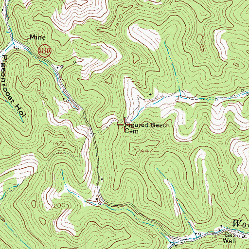 Topographic Map of Figured Beech Cemetery, KY
