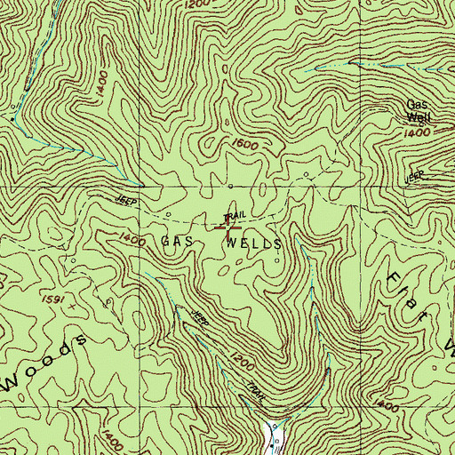 Topographic Map of Flat Woods, KY