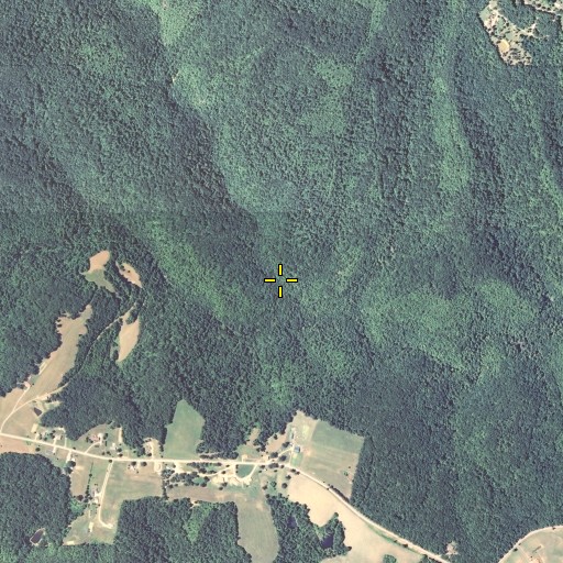 Aerial/Satellite Image of Freeman Fork, KY