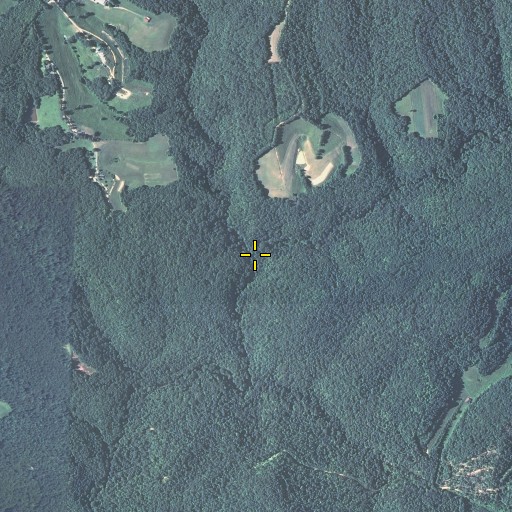 Aerial/Satellite Image of Fulton Fork, KY