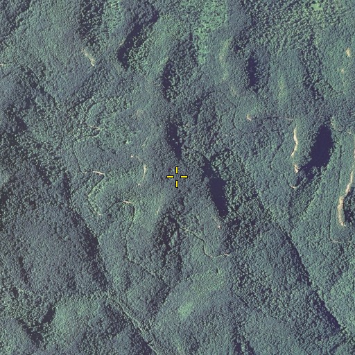 Aerial/Satellite Image of Gate Post Hill, KY