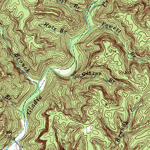 Topographic Map of Gibson Branch, KY