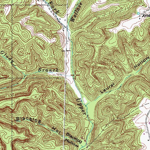 Topographic Map of Glady Branch, KY