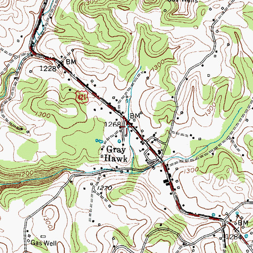 Topographic Map of Gray Hawk, KY