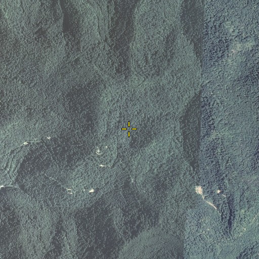 Aerial/Satellite Image of Gray Mountain, KY