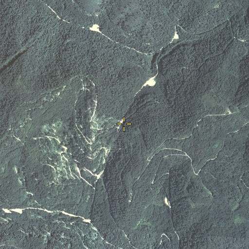 Aerial/Satellite Image of Greasy Gap, KY