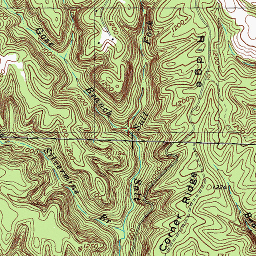 Topographic Map of Green Gose Branch, KY