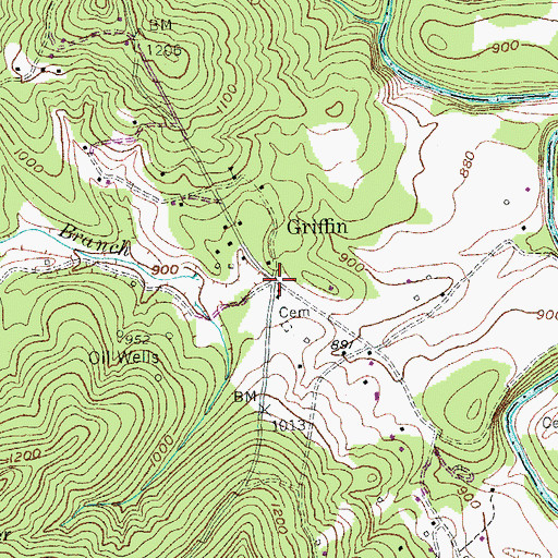 Topographic Map of Griffin, KY