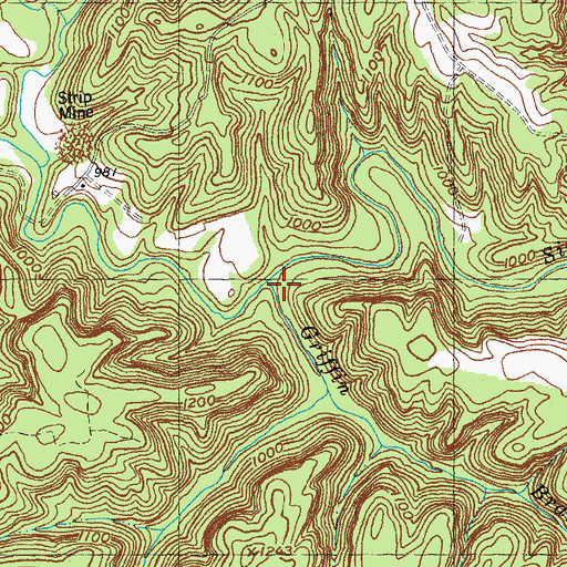 Topographic Map of Griffin Branch, KY