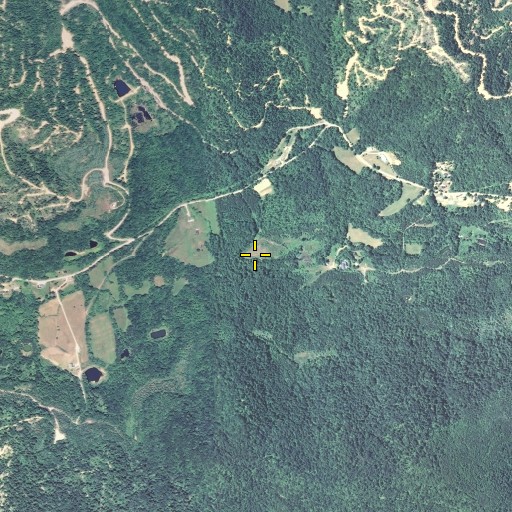 Aerial/Satellite Image of Griffith Branch, KY