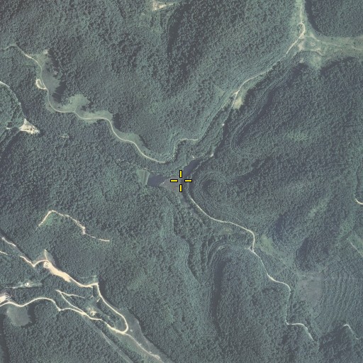 Aerial/Satellite Image of Guthrie Branch, KY