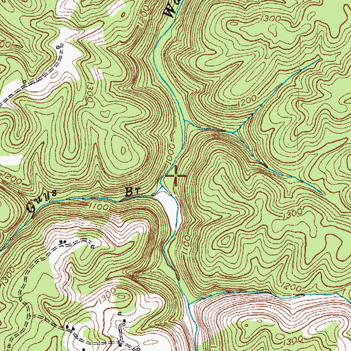 Topographic Map of Guys Branch, KY