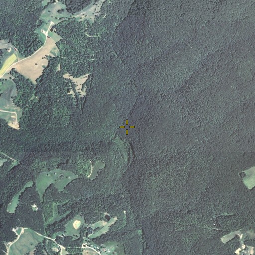 Aerial/Satellite Image of Guys Branch, KY