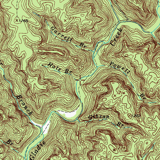 Topographic Map of Hale Branch, KY