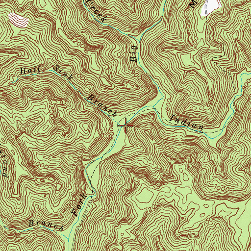 Topographic Map of Hall Sink Branch, KY