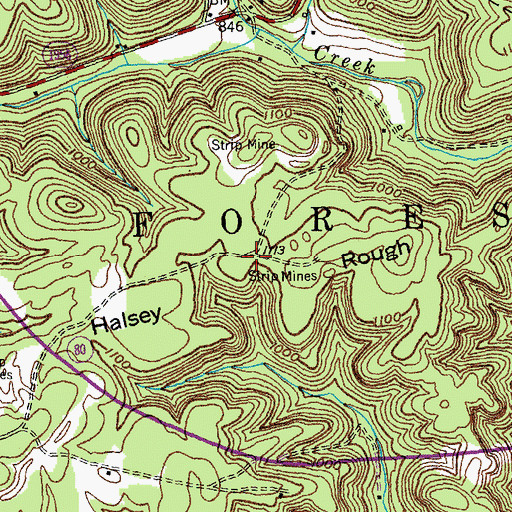Topographic Map of Halsey Rough, KY