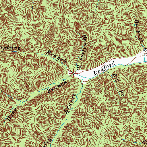 Topographic Map of Hamilton Branch, KY