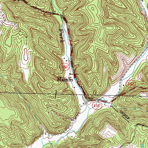 Topographic Map of Hamim, KY
