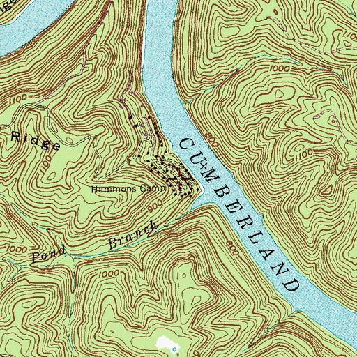 Topographic Map of Hammons Camp, KY