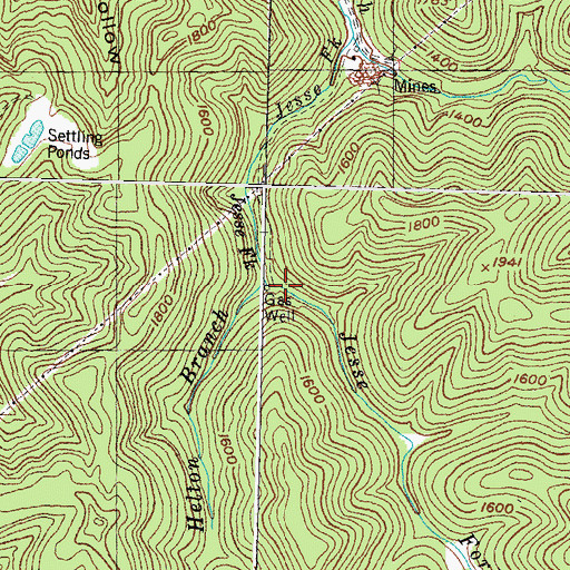 Topographic Map of Helton Branch, KY