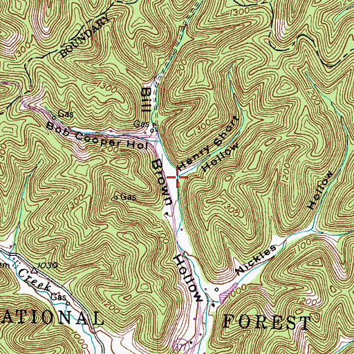 Topographic Map of Henry Short Hollow, KY
